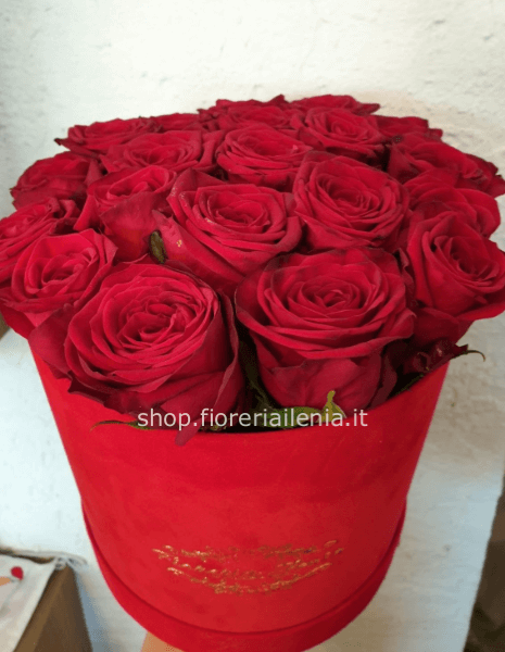 Box rose rosse